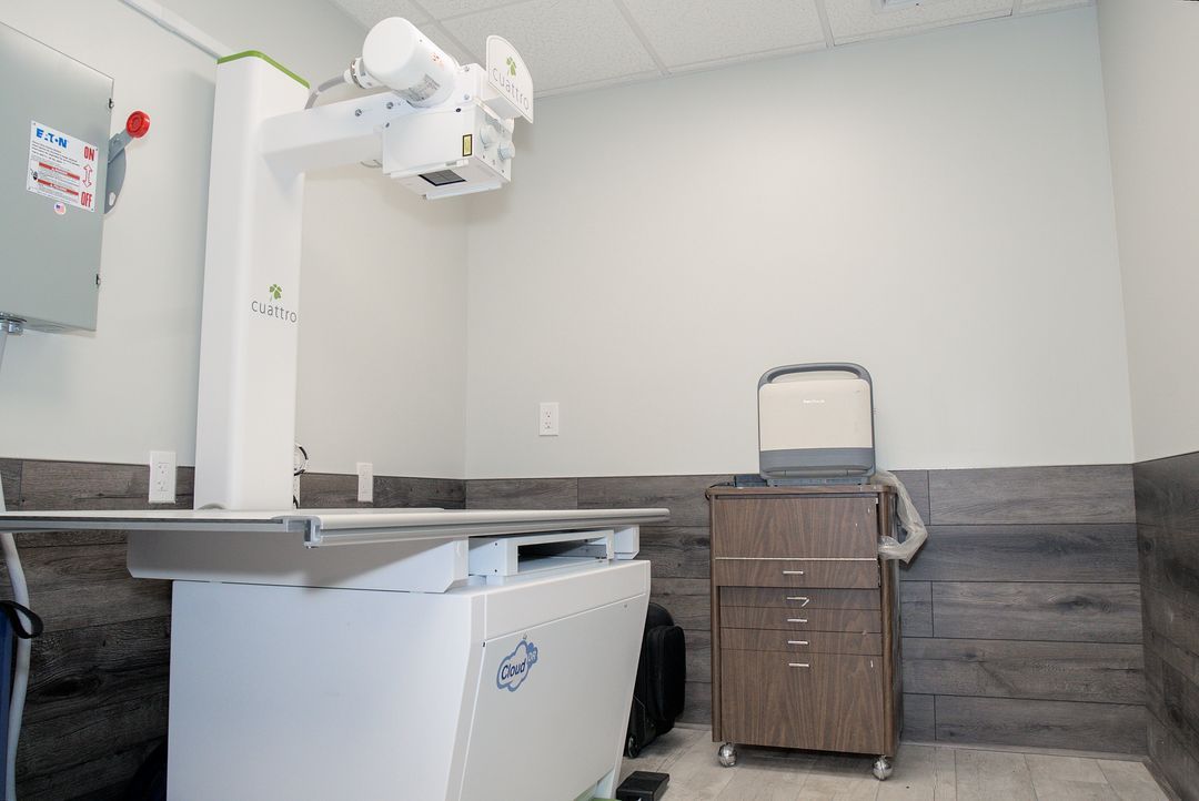 HighQuality Vet Hospital in Newtown, CT Pet Town Veterinary